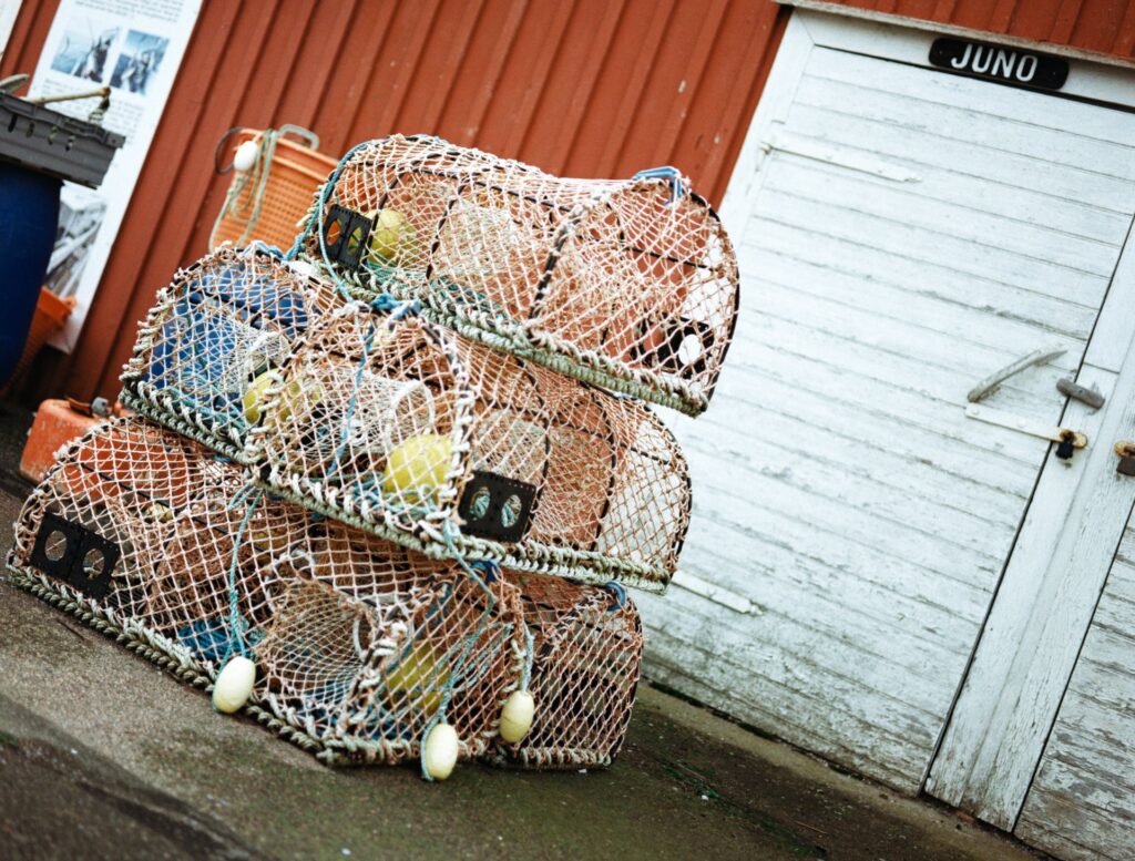 Hönö, Szwecja 2024