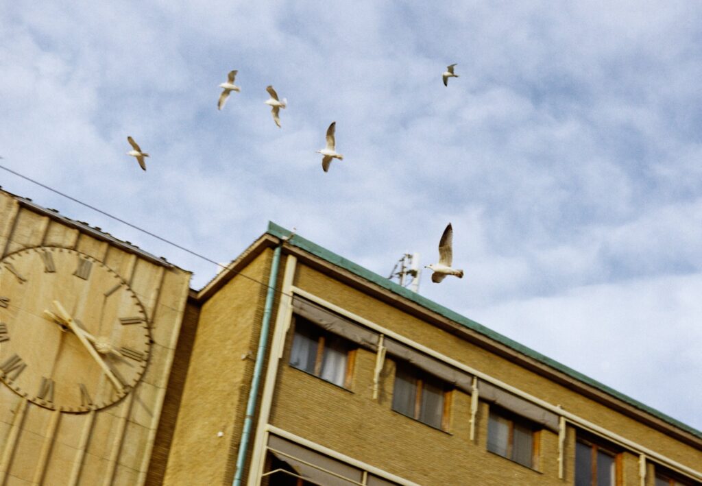 Göteborg, Szwecja 2024